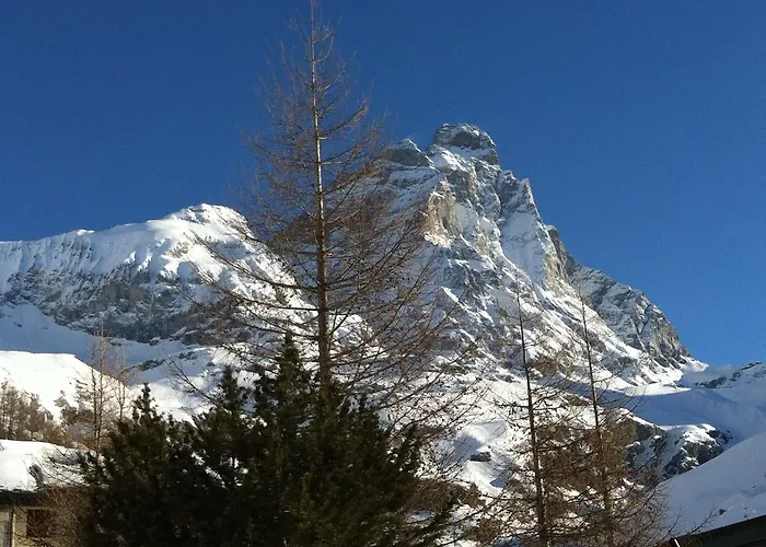 Aux Pieds Du Roi - & Lejlighedshotel