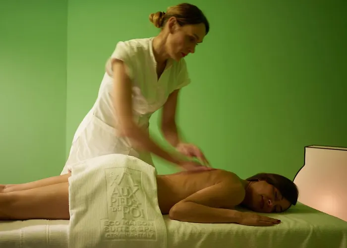 Aparthotel Aux Pieds Du Roi - &